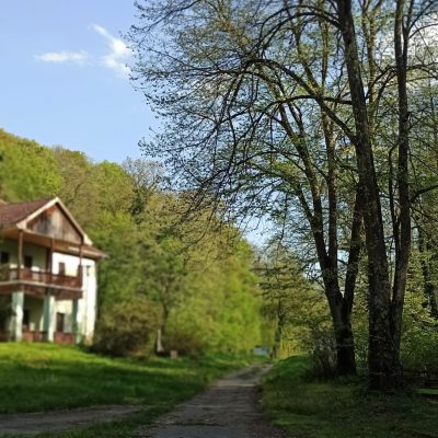 Cerevic-Odmaraliste-Testera-Fruska-gora-jezero-treking-biciklisticke-staze-skola-u-prirodi-deca